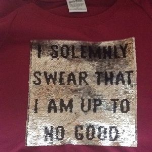 Harry Potter Sequin Sweater
